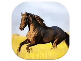 YourTV 你的电视TV v1.8.7 清爽版