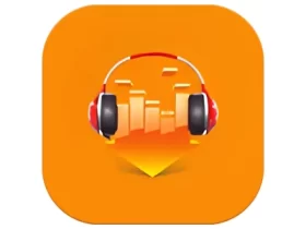 DLNow Video Downloader v1.54.2025.07.10 多语便携版