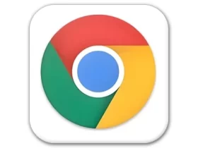 Google Chrome v138.0.7204.158 谷歌浏览器便携增强版