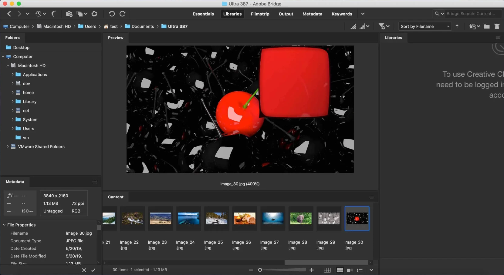 Adobe Bridge