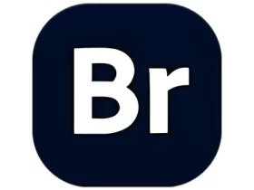Adobe Bridge 2025 (15.0.3.535.0) 图像管理软件 特别版