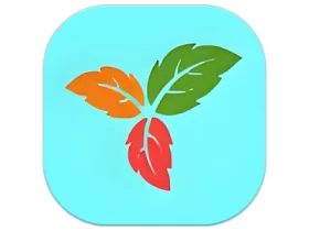 Trilium Notes 笔记应用程序 v0.97.0 中文绿色版