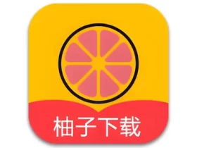 柚子下载 v1.1.1 手机下载器干净清爽无广告高级版