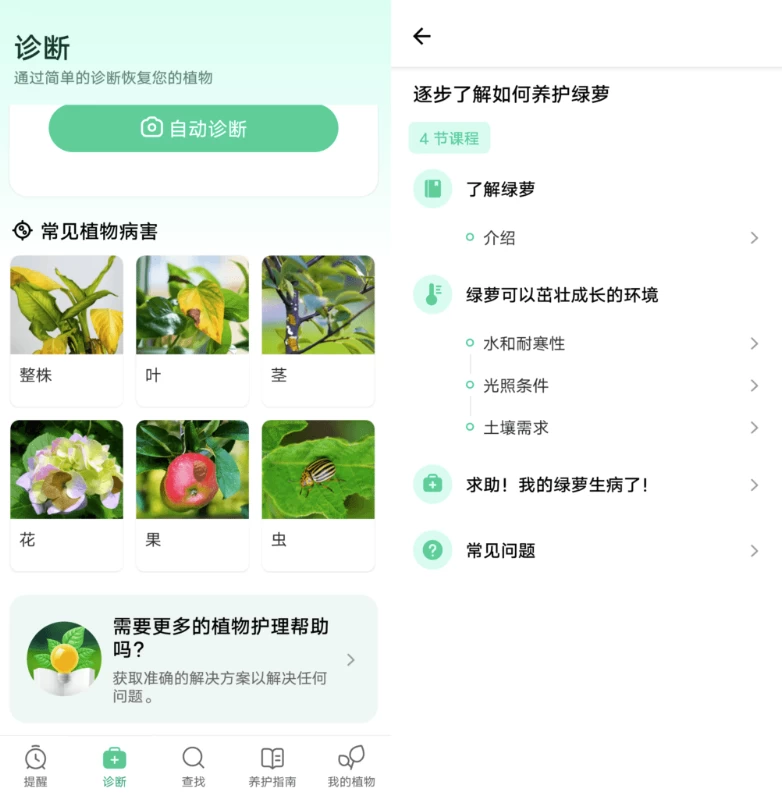 Plant Parent 植物养护