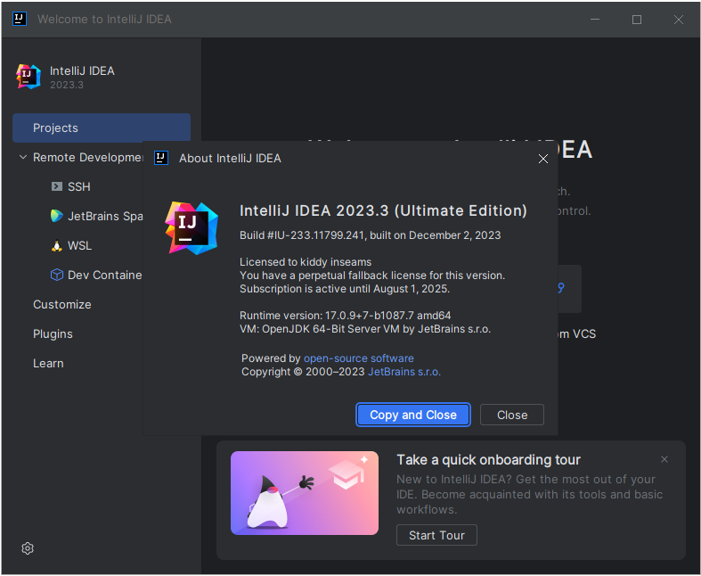 JetBrains IntelliJ IDEA Ultimate 2025.1 Win/macOS JAVA集成开发环境