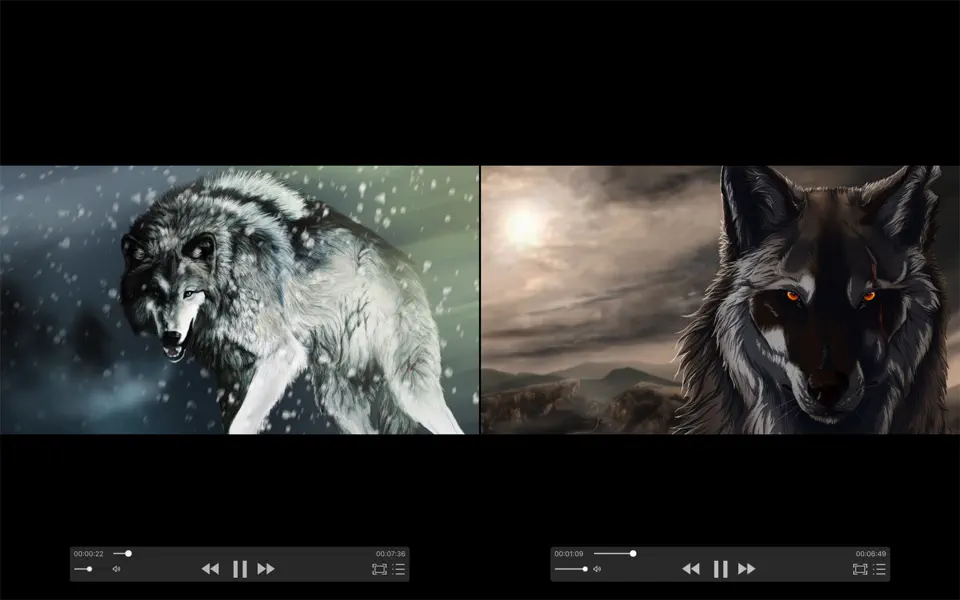 zFuse Pro For Mac 