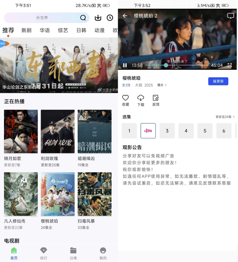 森林视频
