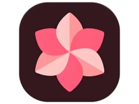 WallSpot 壁纸 v1.6 款专注于壁纸美化工具的软件 解锁高级版