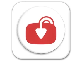 YTDLnis 视频下载工具 v1.8.5 官方版