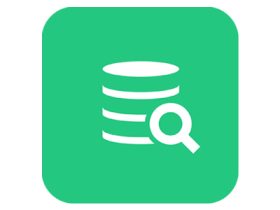 DbVisualizer Pro 25.2.3 数据库管理和分析软件 Win/macOS