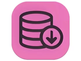 BIliDownloader B站视频下载器 v1.3.13 中文绿色版